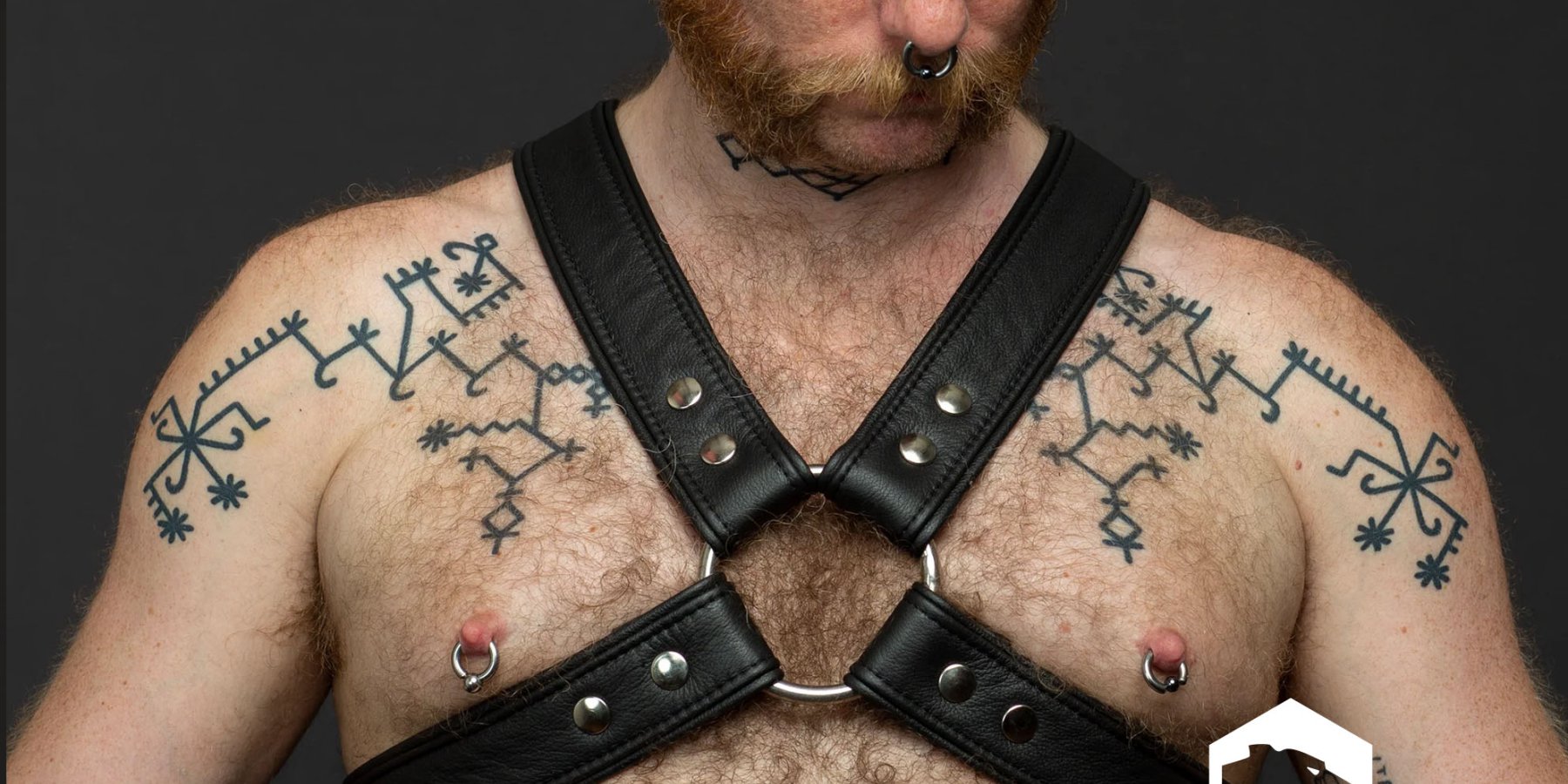 NEU: Harness 5 cm breit