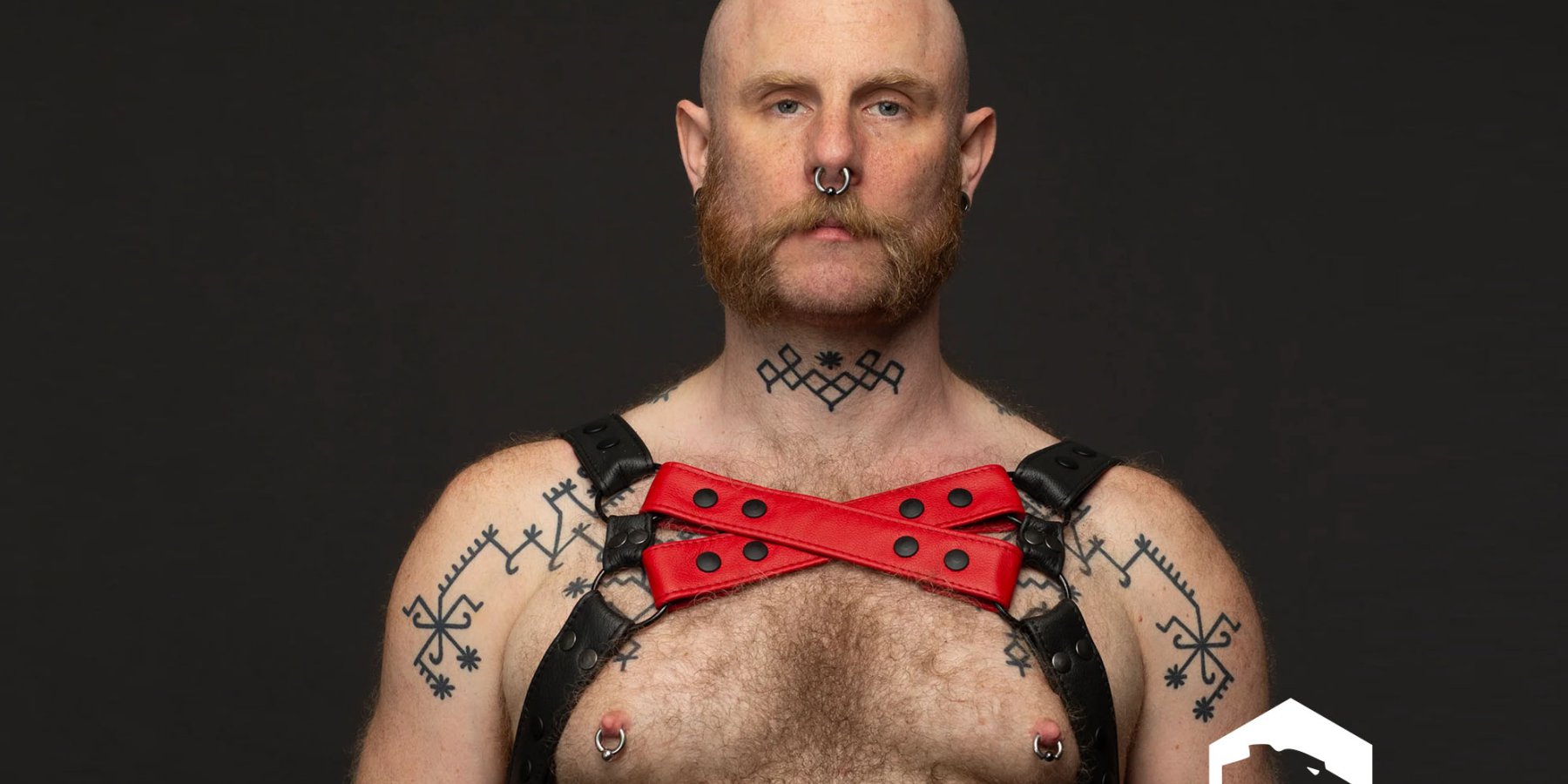 NEW: Harness in 2 colors with an X on the front